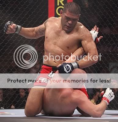 Antonio Silva mounts & GNPs Antonio Silva (Dave Mandel & Sherdog)