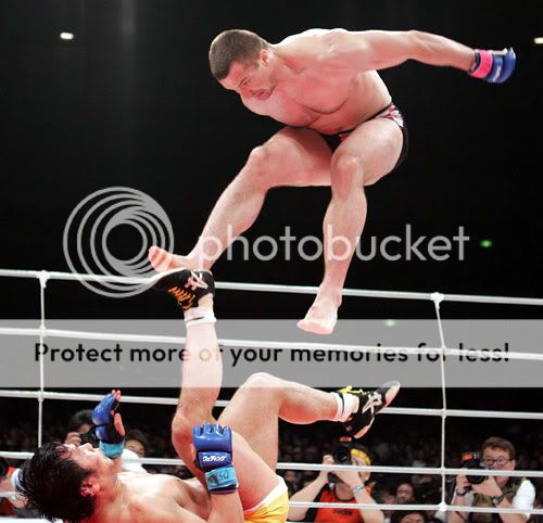 Mirko Cro Cop can fly (file photo)