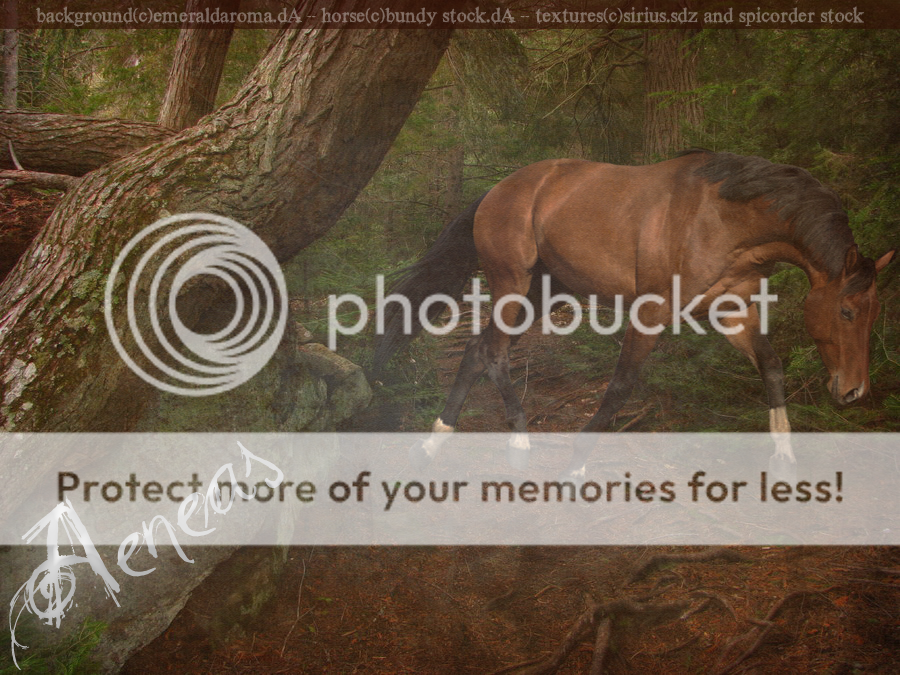  photo Aeneas-header-1_zpsca793da4.png