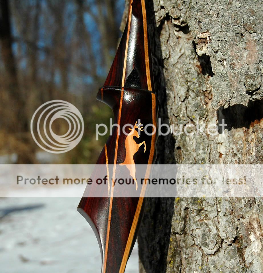 Centaur Longbow Photos by motega_photos | Photobucket