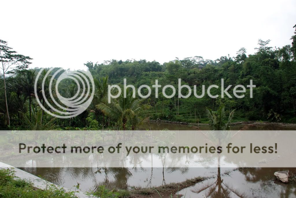 Бали + Ява. Февраль 2009. Много фото (Отчет завершен) Бали + Ява. Февраль 2009. Много фото (Отчет завершен)