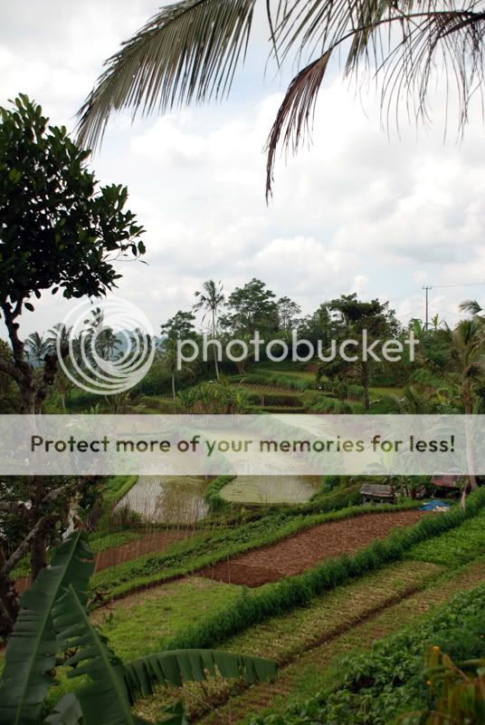 Бали + Ява. Февраль 2009. Много фото (Отчет завершен) Бали + Ява. Февраль 2009. Много фото (Отчет завершен)