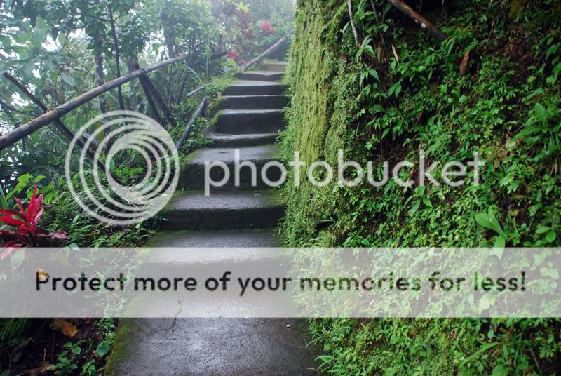 Бали + Ява. Февраль 2009. Много фото (Отчет завершен) Бали + Ява. Февраль 2009. Много фото (Отчет завершен)