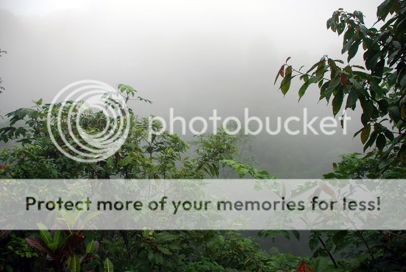 Бали + Ява. Февраль 2009. Много фото (Отчет завершен) Бали + Ява. Февраль 2009. Много фото (Отчет завершен)