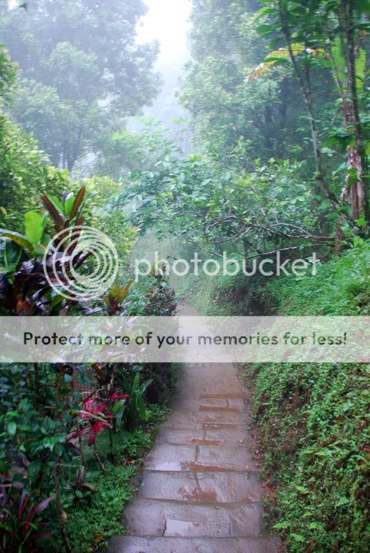 Бали + Ява. Февраль 2009. Много фото (Отчет завершен) Бали + Ява. Февраль 2009. Много фото (Отчет завершен)