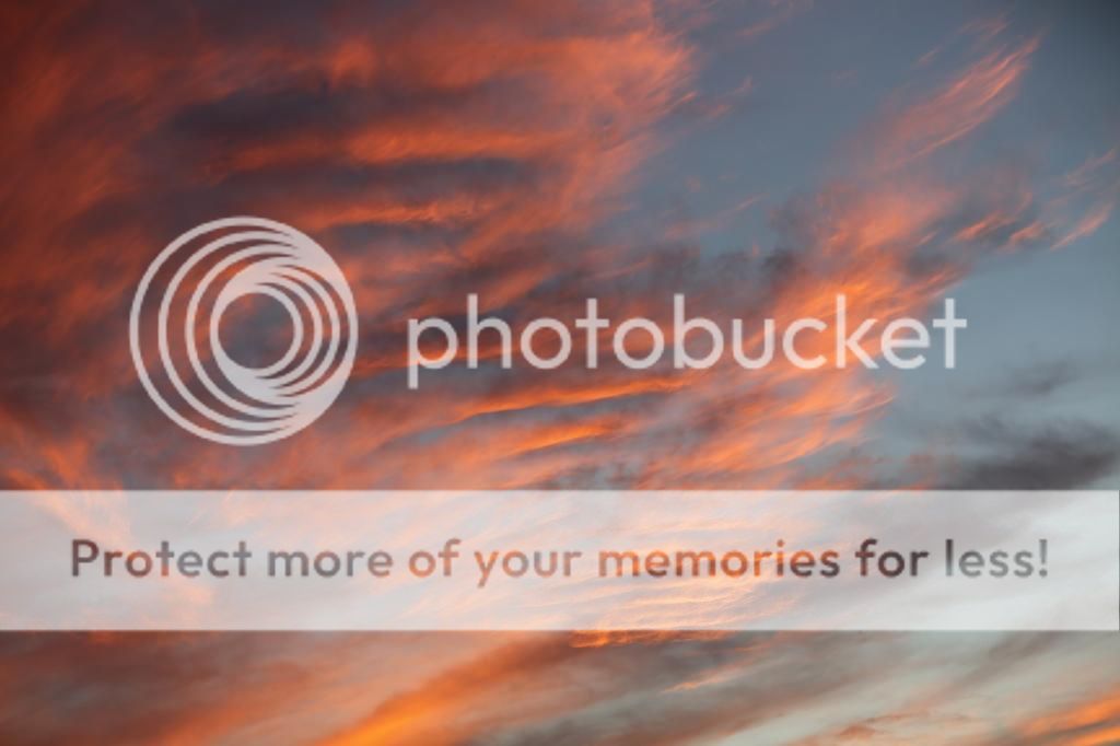 IMAGE: http://i497.photobucket.com/albums/rr340/jbeausol/IMG_3523.jpg