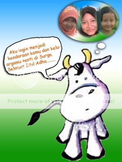 Sapi Buat Qurban Image