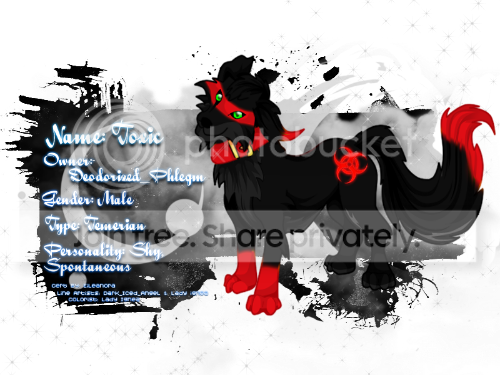 User Image